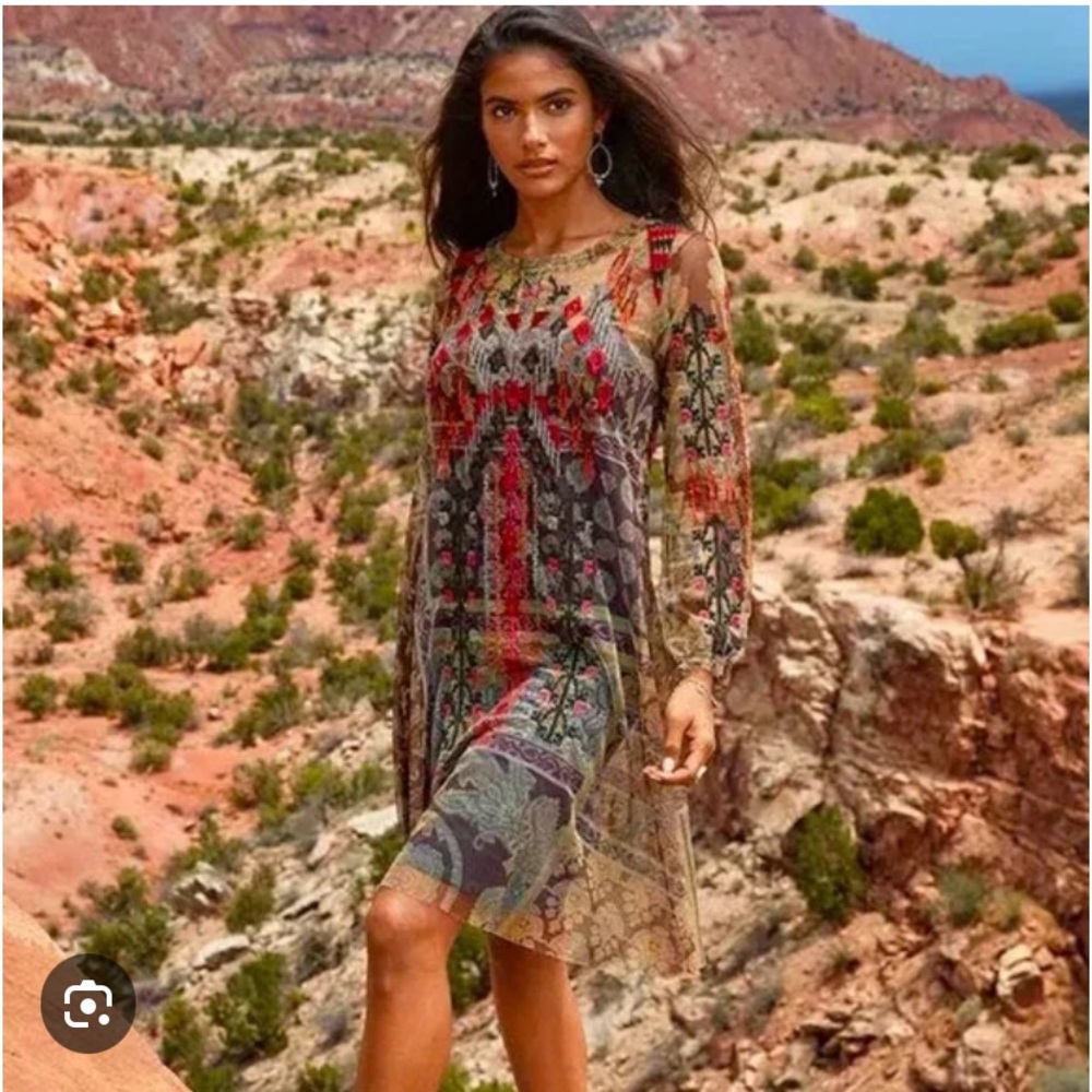 Johnny Was Diza Mesh Dress
